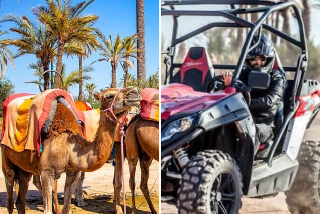 Half Day Buggy Ride & Camel Ride Extreme Adventure